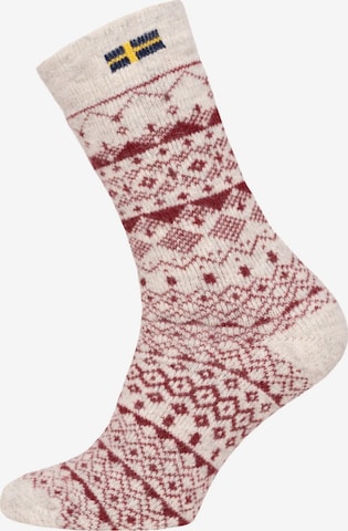 HomeOfSocks Socks 'HOS802' in Red: front