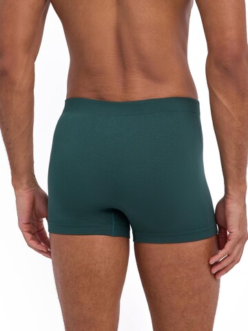 FALKE Boxer shorts 'Seamless' in Green