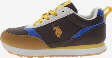 U.S. POLO ASSN. Sneaker 'NOBIK013K/5NH4' in Braun: Vorderseite