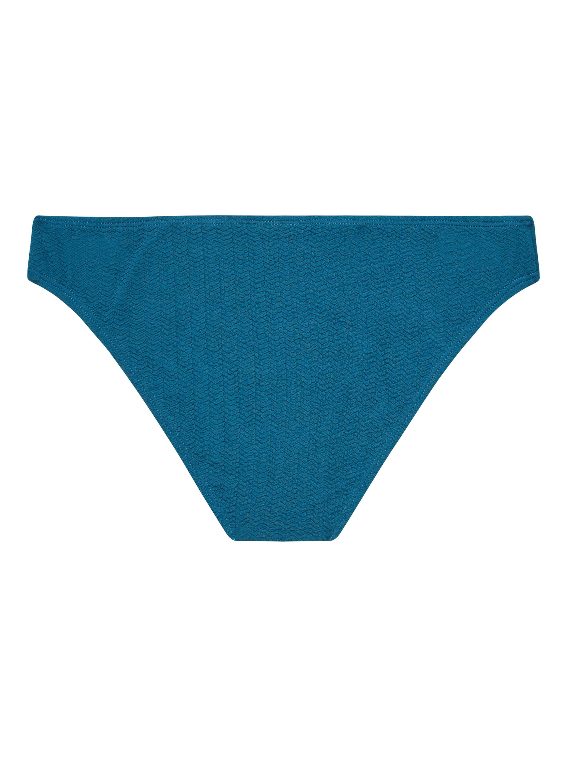 PROTEST Bikini bottom 'MIXDite' in Blue