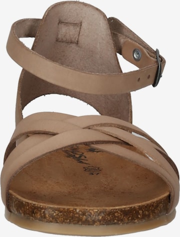 COSMOS COMFORT Strap Sandals in Beige