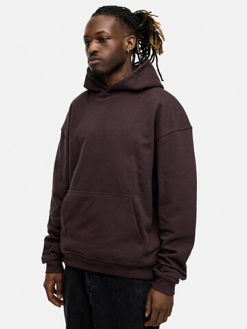 Daily Cotton Sweatshirt 'DCAUSTIN' in Braun