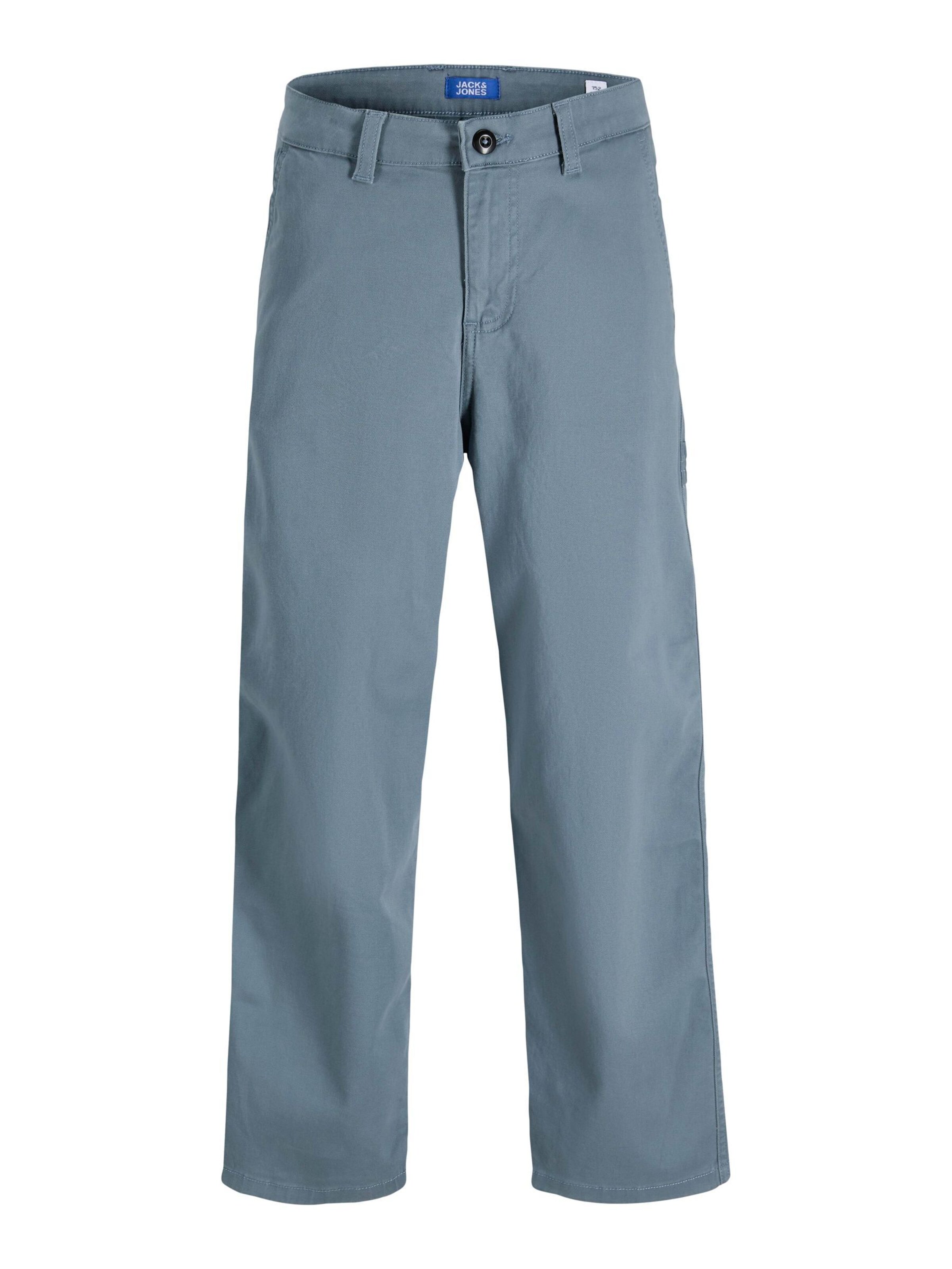Baggy Pantalon 'JPSTAlex' Jack & Jones Junior en gris : devant