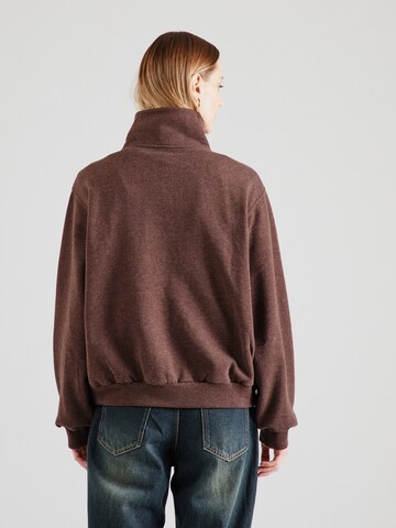 Felpa di HOLLISTER in marrone