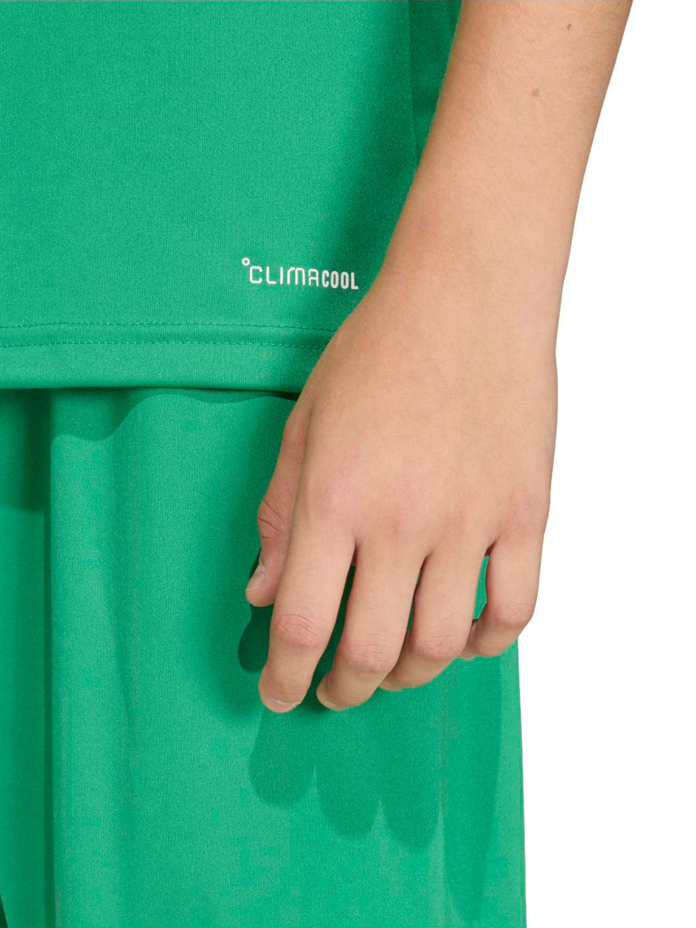 žalia ADIDAS PERFORMANCE Sportiniai marškinėliai 'ENT26'