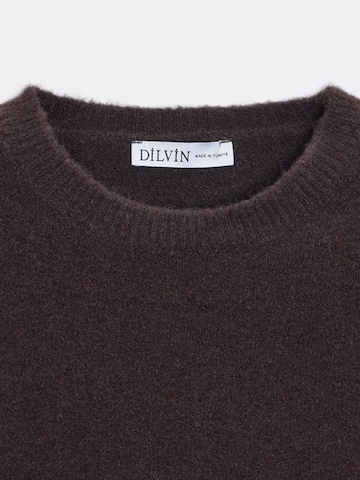 Pullover 'Pullover' di Dilvin in marrone