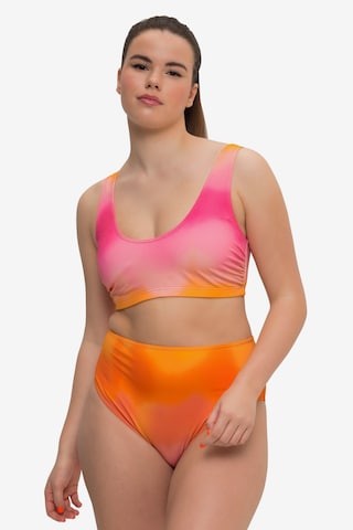 Bustier Hauts de bikini Studio Untold en rose : devant