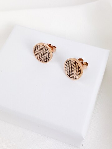 Hey Happiness Oorbellen 'Flower of life' in Goud