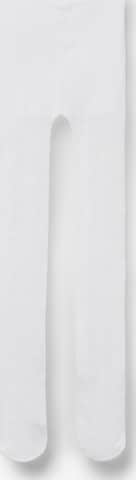 CALZEDONIA Strumpfhose in Weiß: Vorderseite