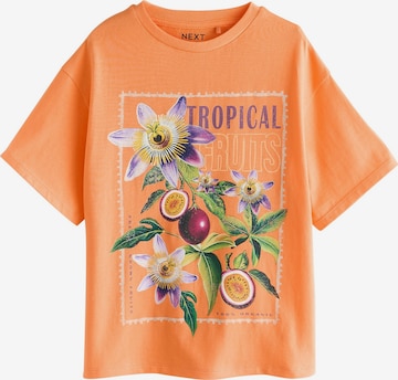 Maglietta di Next in arancione: frontale