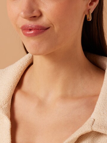 Lucardi Earrings in Gold: front
