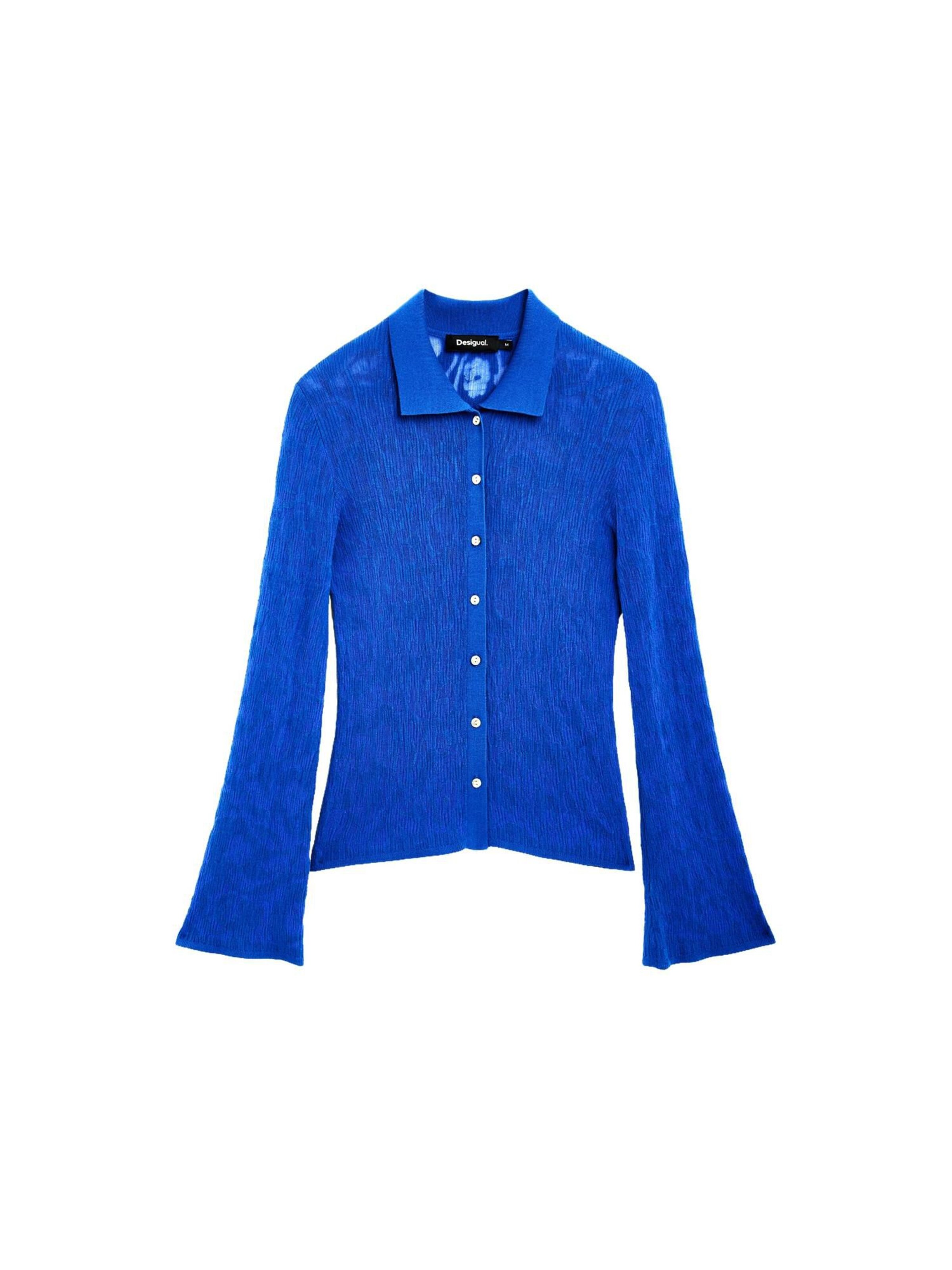 Desigual Shirt in Blue: front