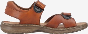 Rieker Sandals '21461' in Brown