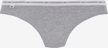 LACOSTE Thong in Grey