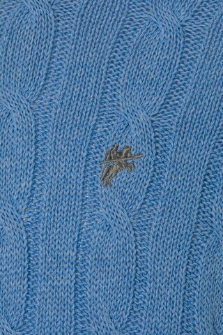 DENIM CULTURE Pullover 'Orion' in Blau