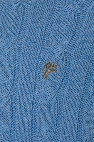 DENIM CULTURE Sweater 'Orion' in Blue