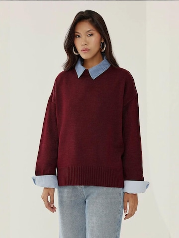 Hiccup Sweter w kolorze czerwony: przód