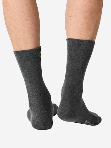 Chaussettes ' 18er-Pack Ohne Gummi ' Nur Die en gris