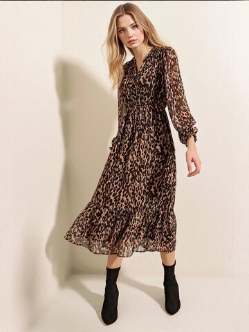 Bigdart Kleid in Braun: Vorderseite