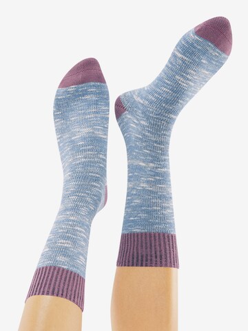 CHEERIO* Socks 'Boot Buddy' in Blue: back