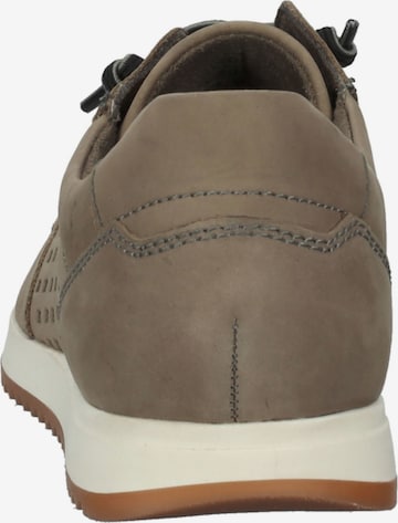 FRETZ MEN Sneaker in Braun