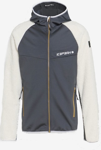 ICEPEAK Outdoor jacket ' DANBY ' in Grey: front