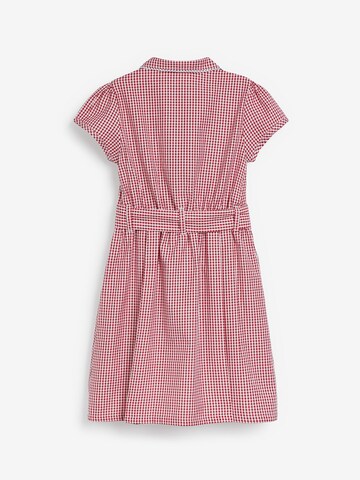 Next Kleid in Rot