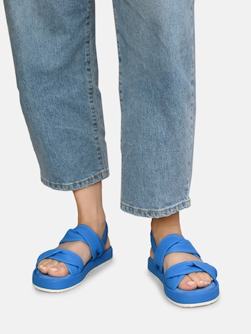 Crickit Sandalen met riem ' JANEKE ' in Blauw: voorkant