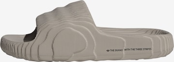 ADIDAS ORIGINALS Μιούλ 'Adilette 22' σε καφέ: μπροστά