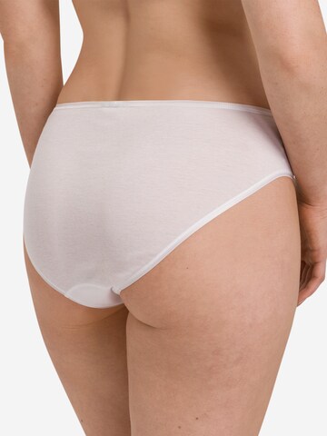 Hanro Panty 'Cotton Seamless' in White