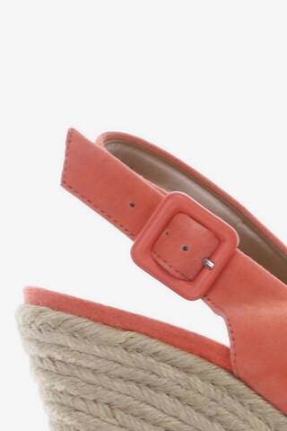 CLARKS Sandals & High-Heeled Sandals in 36 in Red