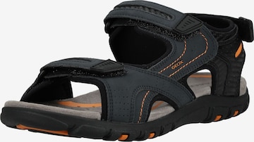 Sandalo di GEOX in blu: frontale