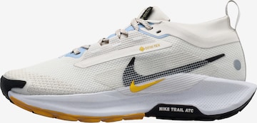 NIKE Низкие кроссовки 'PEGASUS TRAIL 5 GTX' в Серый: спереди