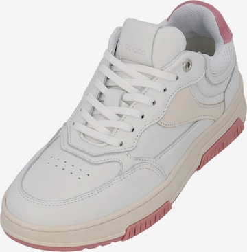 Palado Sneakers laag 'S2-2210' in Wit: voorkant