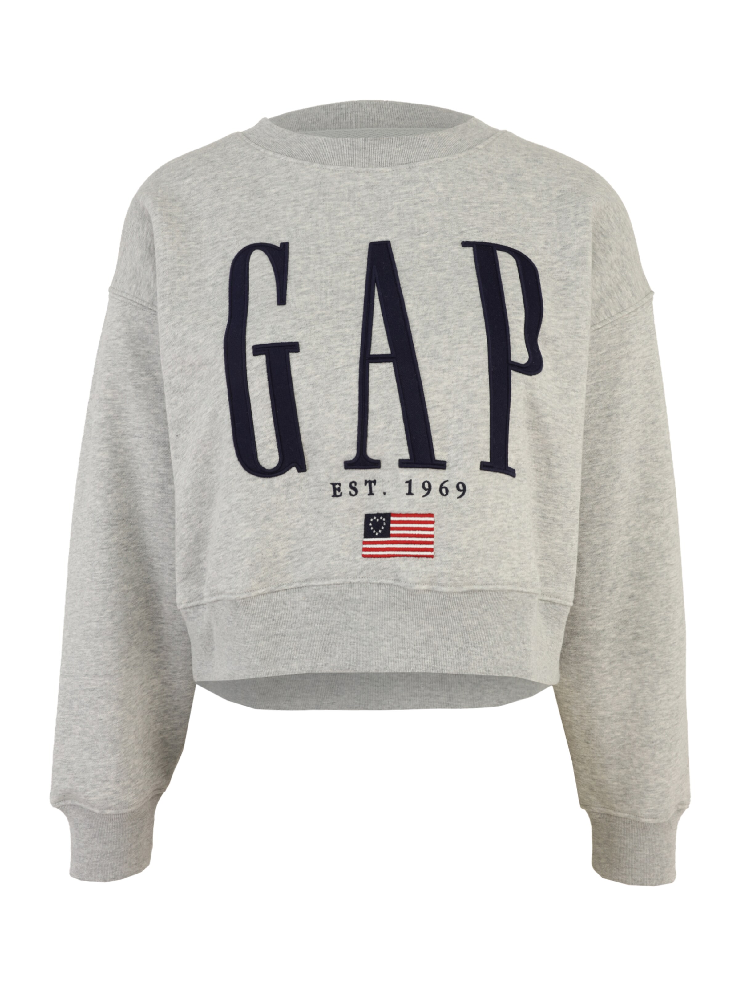 Felpa di Gap Petite in grigio: frontale