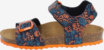 GEOX Open schoenen in Blauw