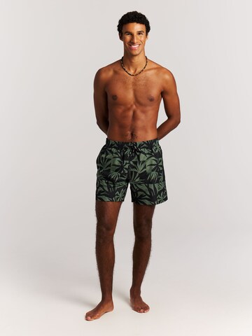 PROTEST Swimming shorts 'PRTPanther' in Black