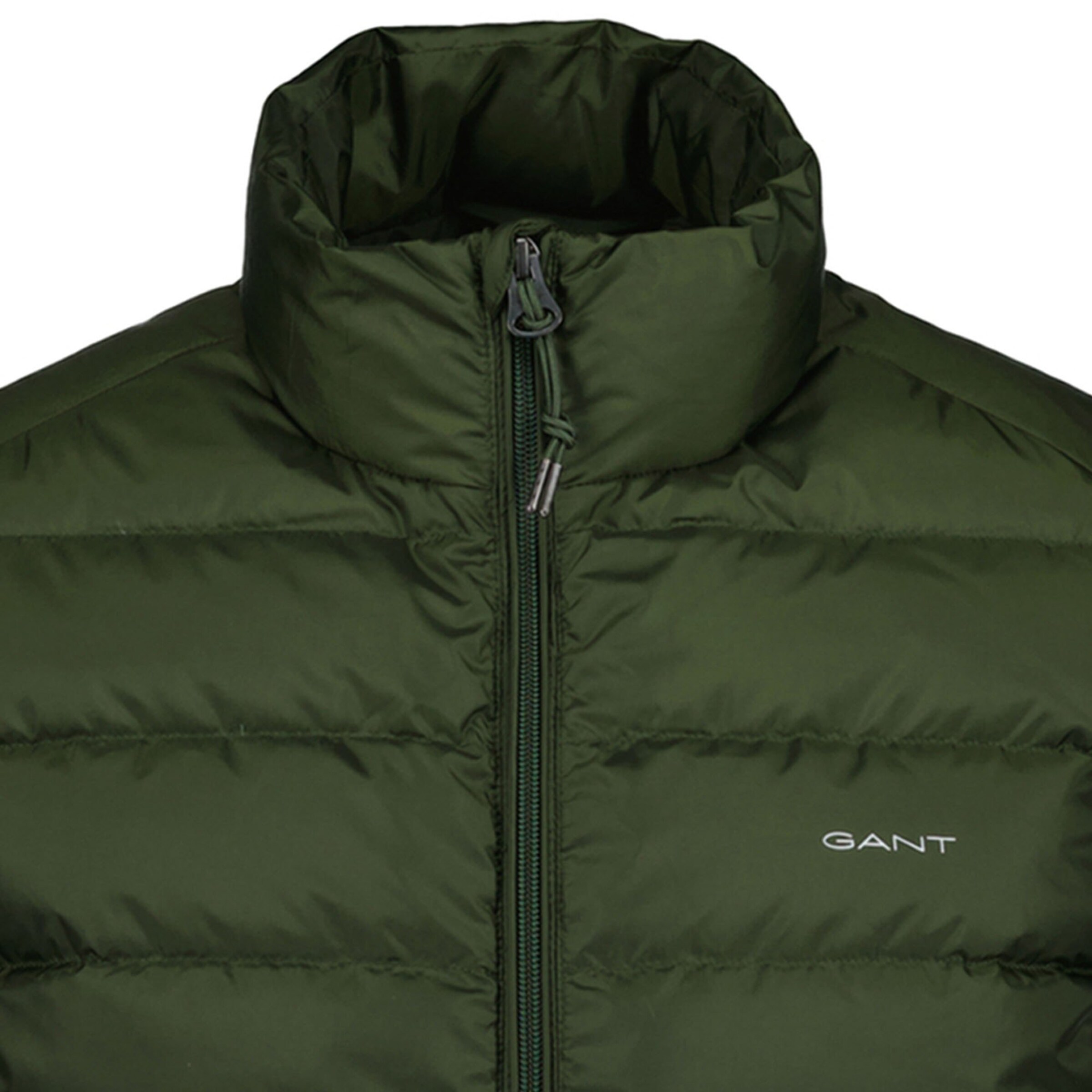 GANT Vest in Green
