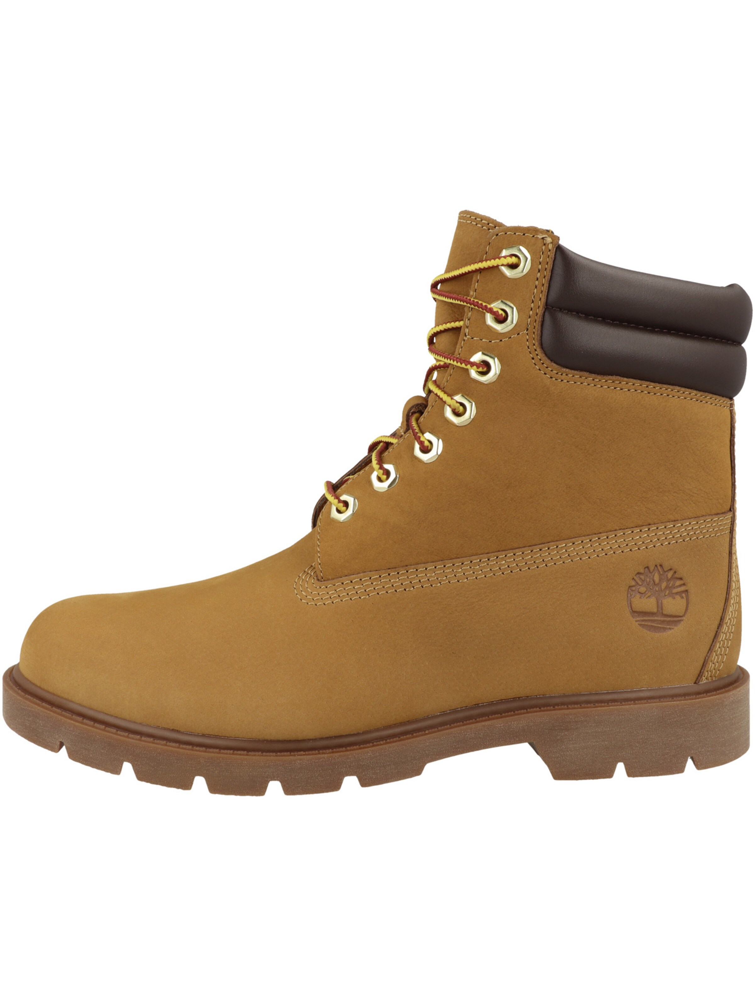 TIMBERLAND - Zapatos con cordón en marrón