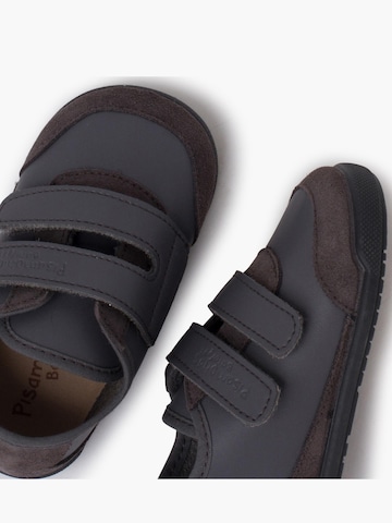 Baskets Pisamonas en gris