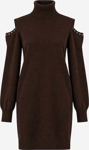 Twinset Strickkleid 'ACTITUDE' in Braun: Vorderseite