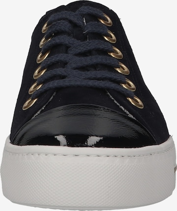 Sneaker bassa di Paul Green in blu