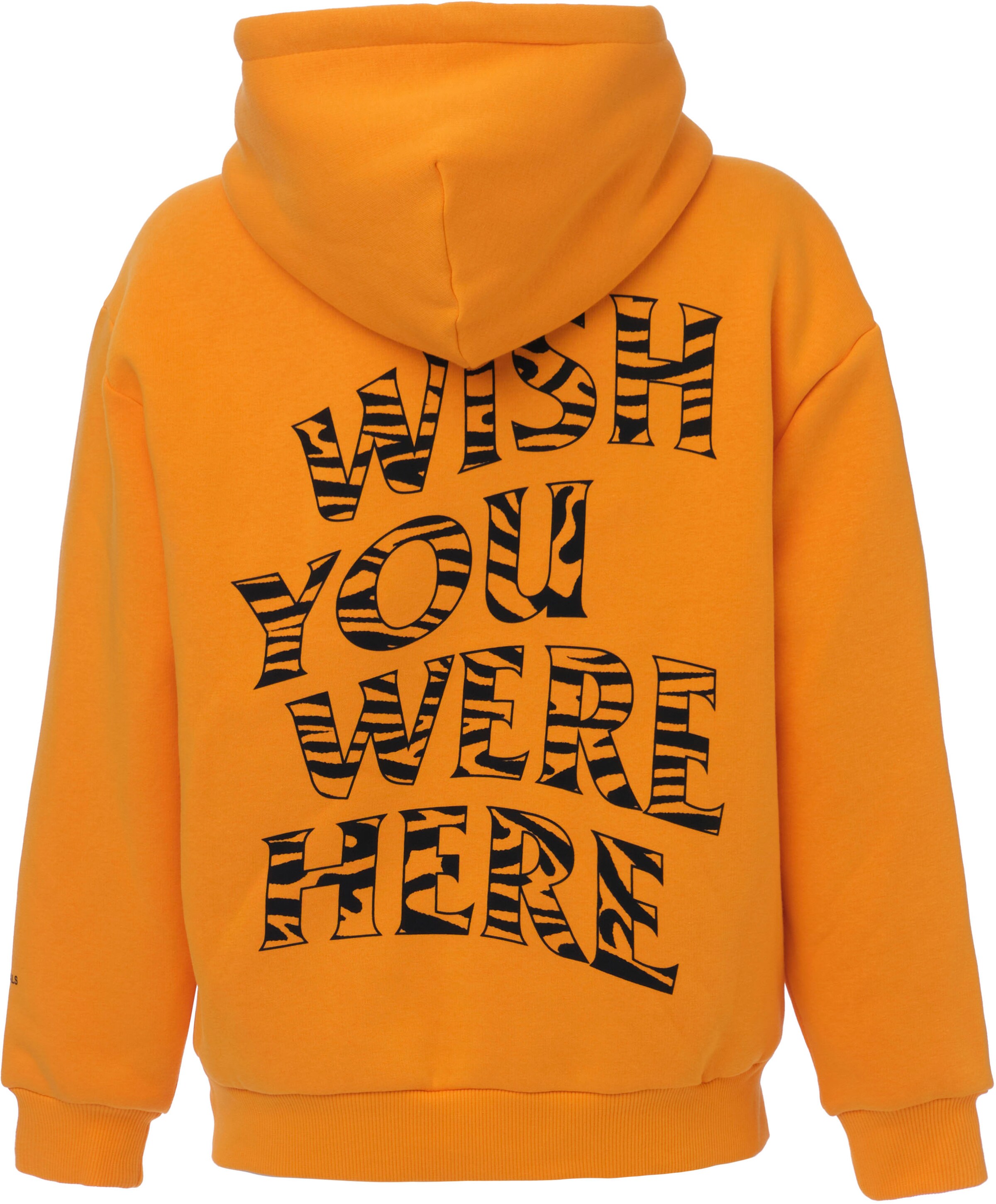 Frauen Sweat DSCVR Sweatshirt in Mandarine - GN72656 Frauen Sweat DSCVR Sweatshirt in Mandarine - GN72656