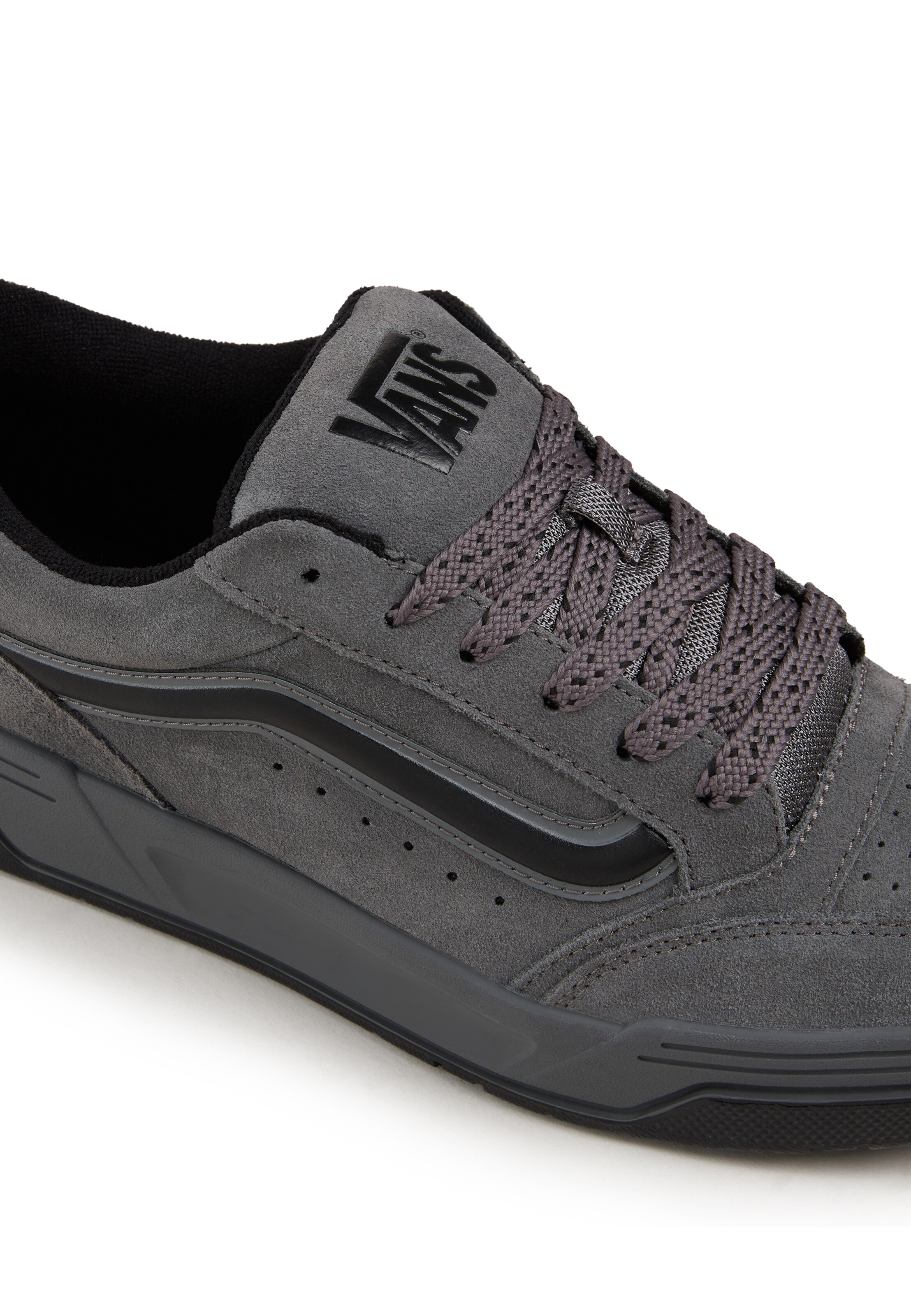 VANS Låg sneaker 'Hylane' i grå