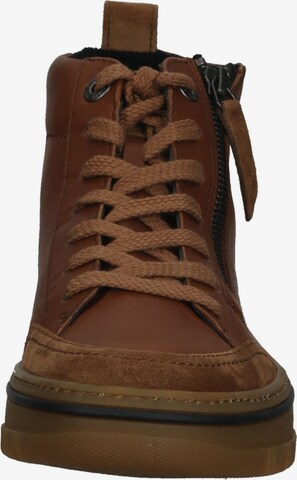 Paul Green Sneakers in Brown