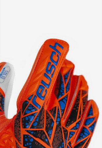 REUSCH Sporthandschoenen 'Attrakt Starter Solid Finger Support' in Oranje