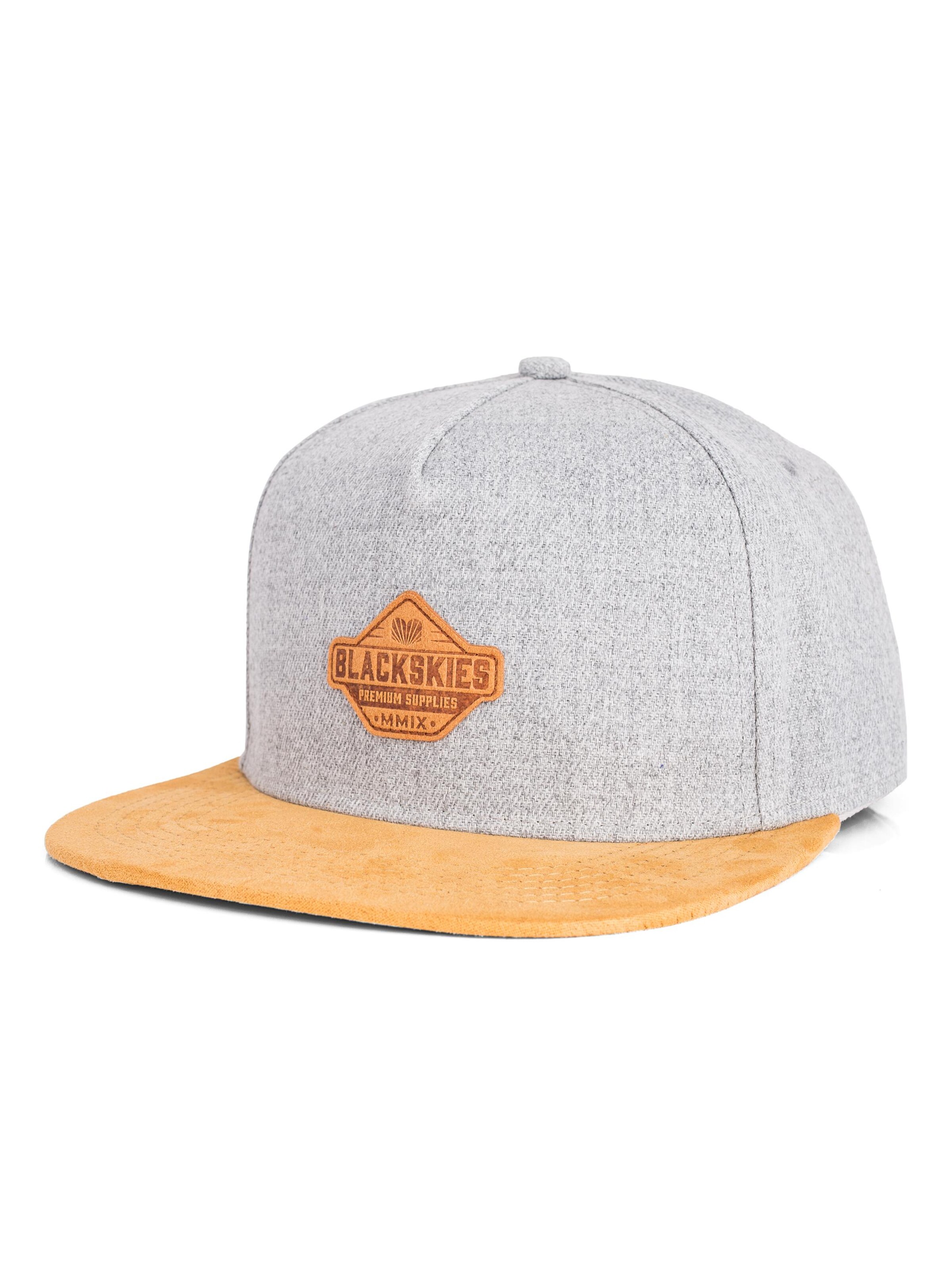 Blackskies Cap 'Essentials'‌‌‌‌‌‌‌‌‌ in Grau: Vorderseite