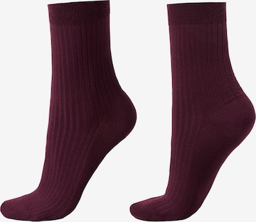 CALZEDONIA Socken in Rot: Vorderseite