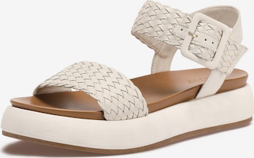 INUOVO Strap Sandals in Beige: front