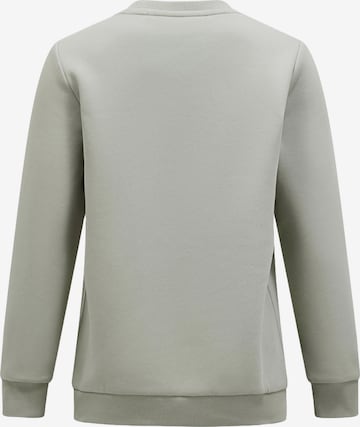 PEAK PERFORMANCE Sweatshirt in Grün